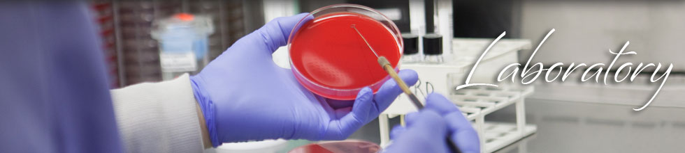 CCMH Laboratory