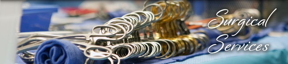 Surgical Services